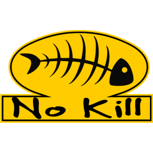 Sticker autocollant No kill couleur