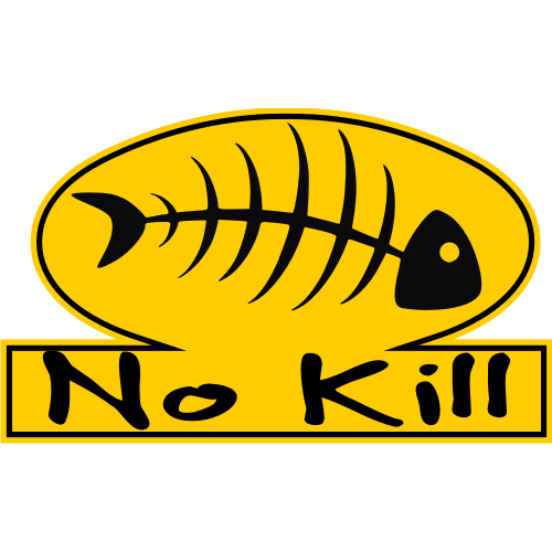 Sticker autocollant No kill couleur