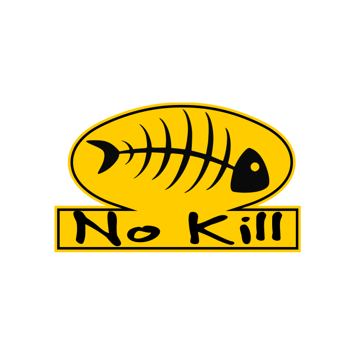 Sticker autocollant No kill couleur