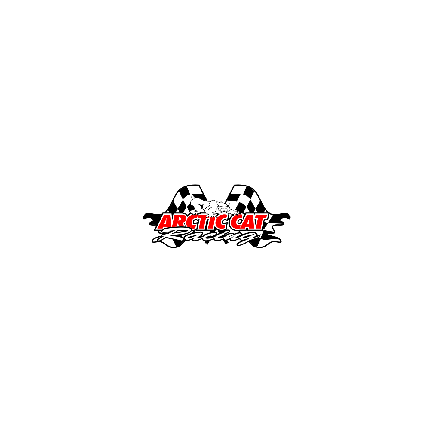 Arctic Cat racing