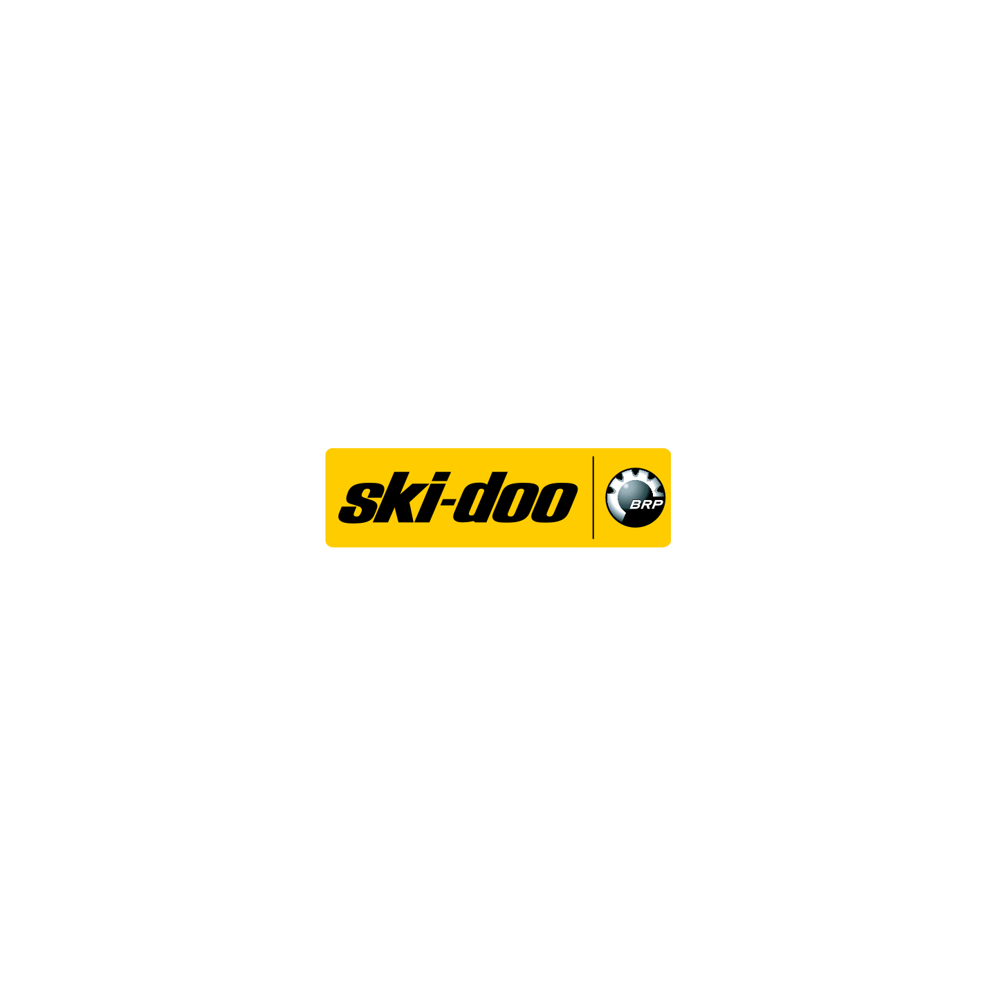 Ski-doo couleur