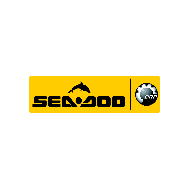 Sticker autocollant Ski-doo couleur