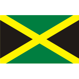 Sticker autocollant Drapeau Bresilien