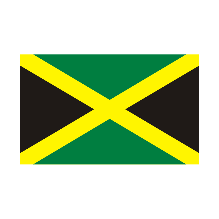 Sticker autocollant Drapeau Bresilien