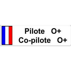 Sticker autocollant Autocollant plaque Pilote et Groupe Sanguin