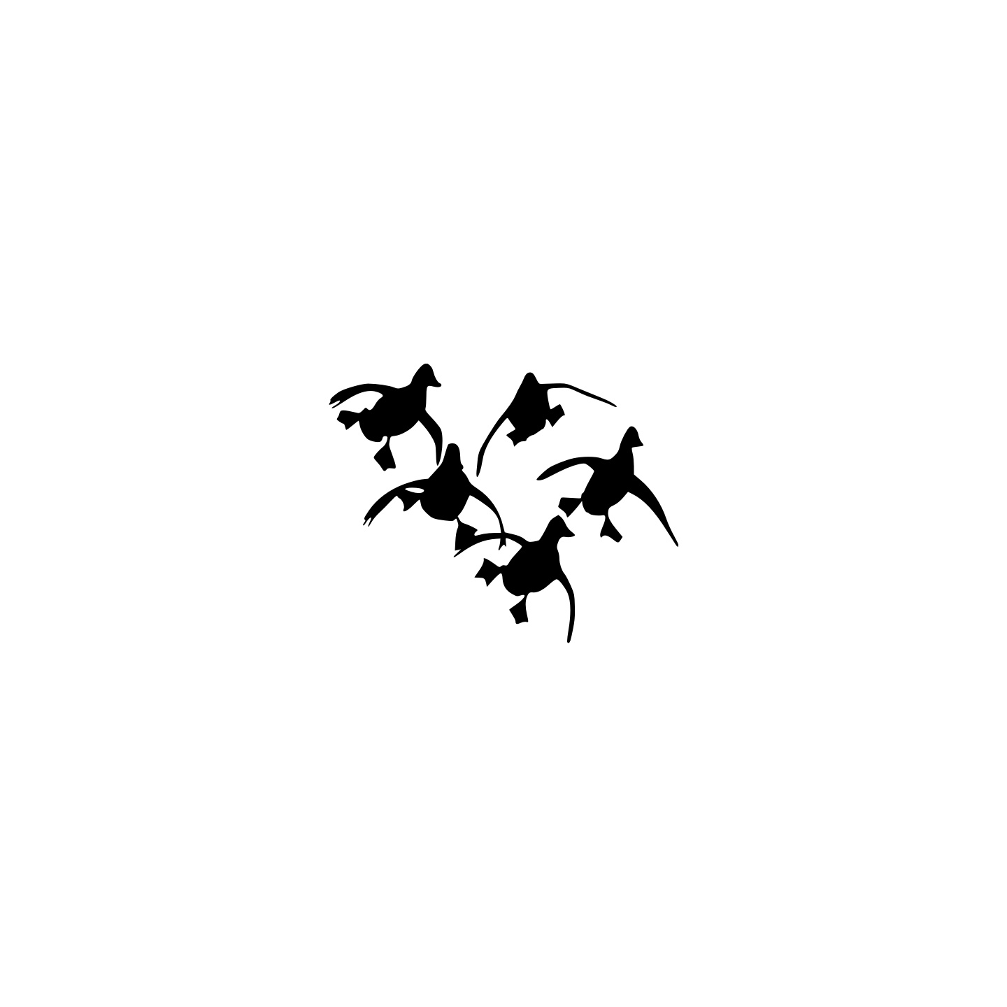 Envolée de Canard