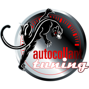 Sticker autocollant Échantillon gratuit Autocollant Tuning