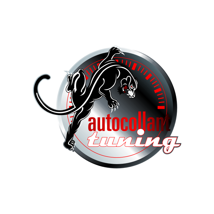 Sticker autocollant Échantillon gratuit Autocollant Tuning