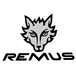Sticker autocollant Remus