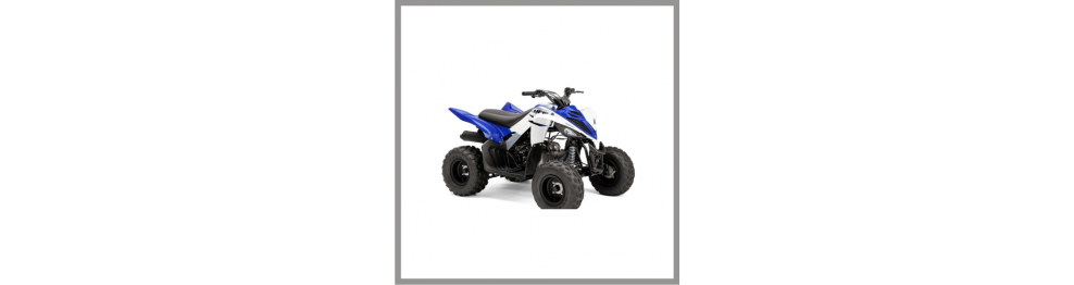 Quad / Buggy