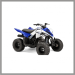 Quad / Buggy