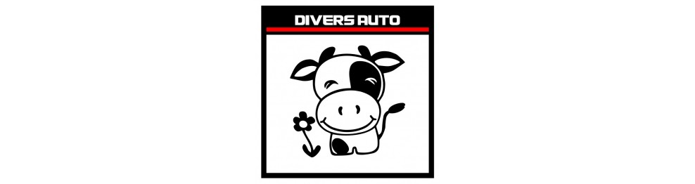 Divers auto