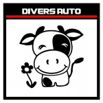 Divers auto