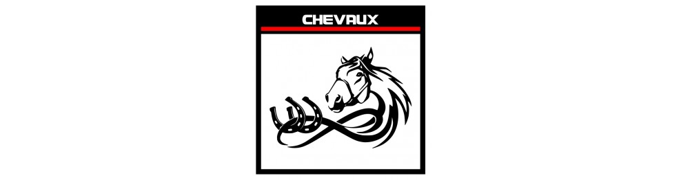 Sticker Chevaux et Vans